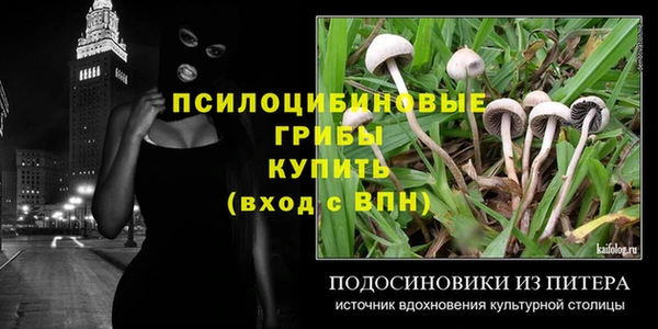 СК Арсеньев