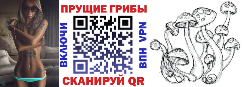Псилоцибиновые грибы Magic Shrooms  купить наркоту  Таруса 